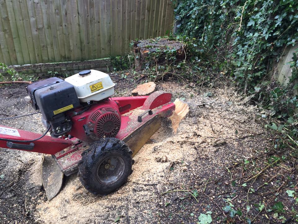 Mastering Stump Grinder Teeth Sharpening: A Comprehensive Guide